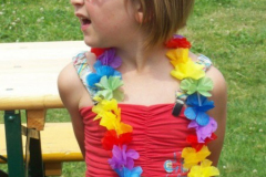 2009 - Zomer buurtfeest