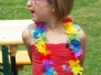 2009 - Zomer buurtfeest